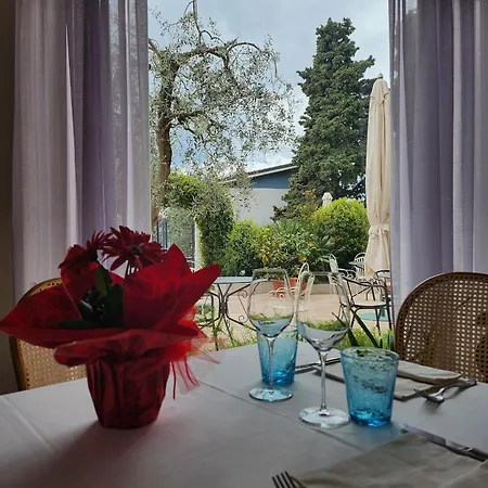 Отель 2 Palme Торри-дель-Бенако