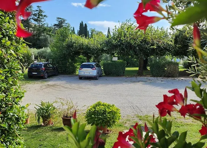 2 Palme Torri del Benaco