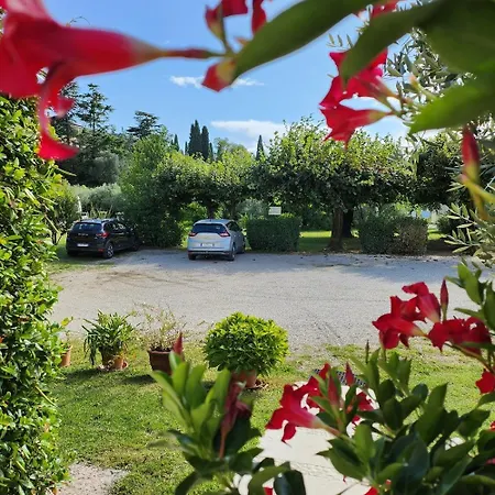 2 Palme Torri Del Benaco